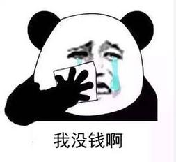 我没钱啊