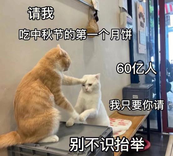 请我 吃中秋节的第一个月饼 60亿人 我只要你请 别不识抬举