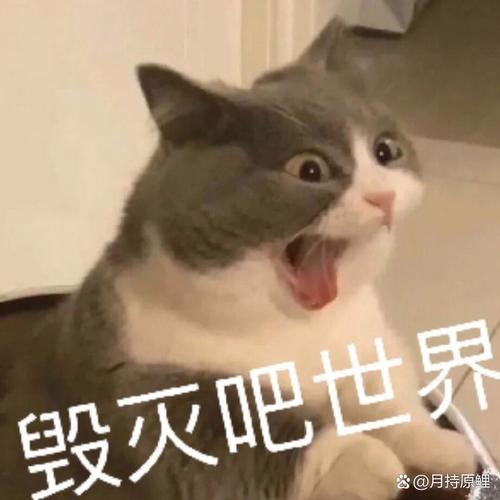 毁灭吧世界 @月持原鲤