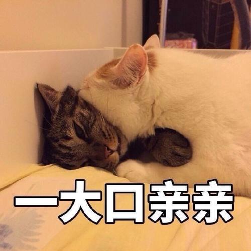 一大口亲亲