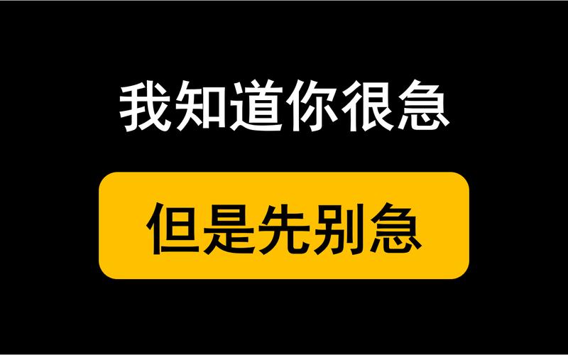 我知道你很急 但是先别急