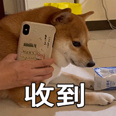 收到