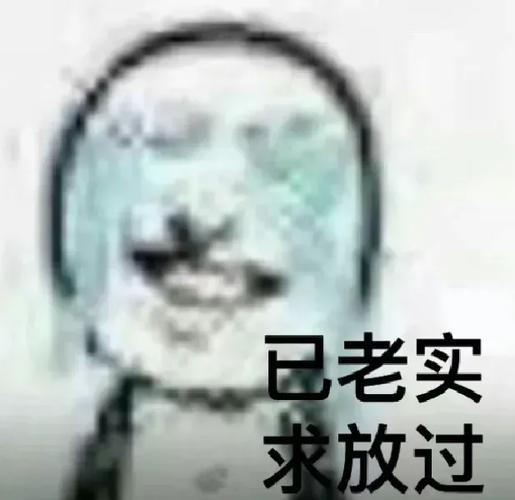 已老实 求放过