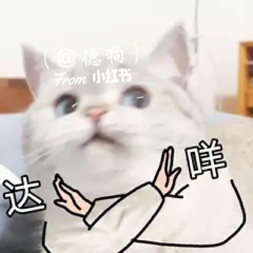 德狗 From 哪