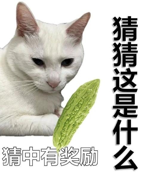 猜猜这是什么 猜中有奖励