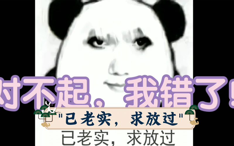我错了 对不起 已老实， 求放过 已老实， 求放过
