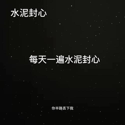 水泥封心 每天一遍水泥封心 你半路丢下我