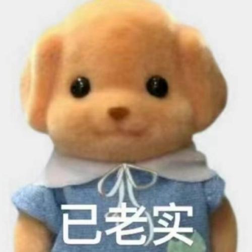 已老实