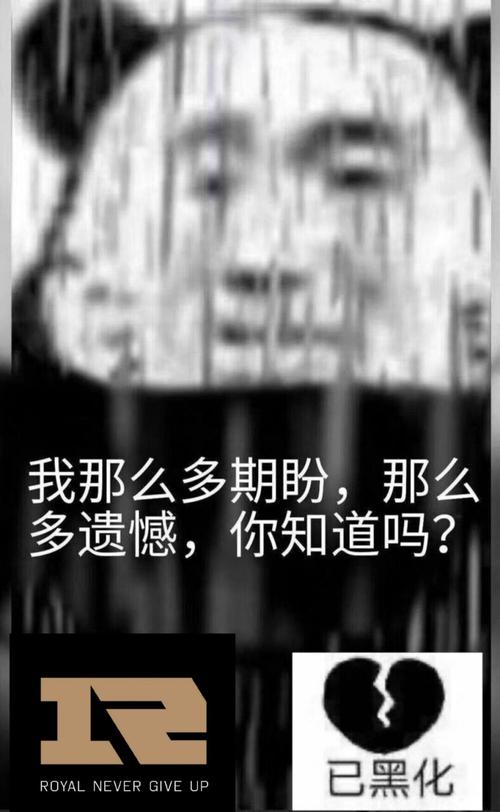 我那么多期盼，那么 多遗憾，你知道吗？ 已黑化 ROYALNEVERGIVEUP