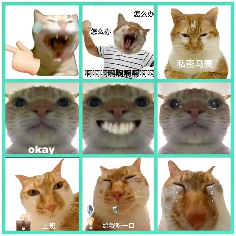 怎么办 怎么办 私密马赛 okay 上班 给我吃一口