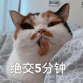 绝交5分钟