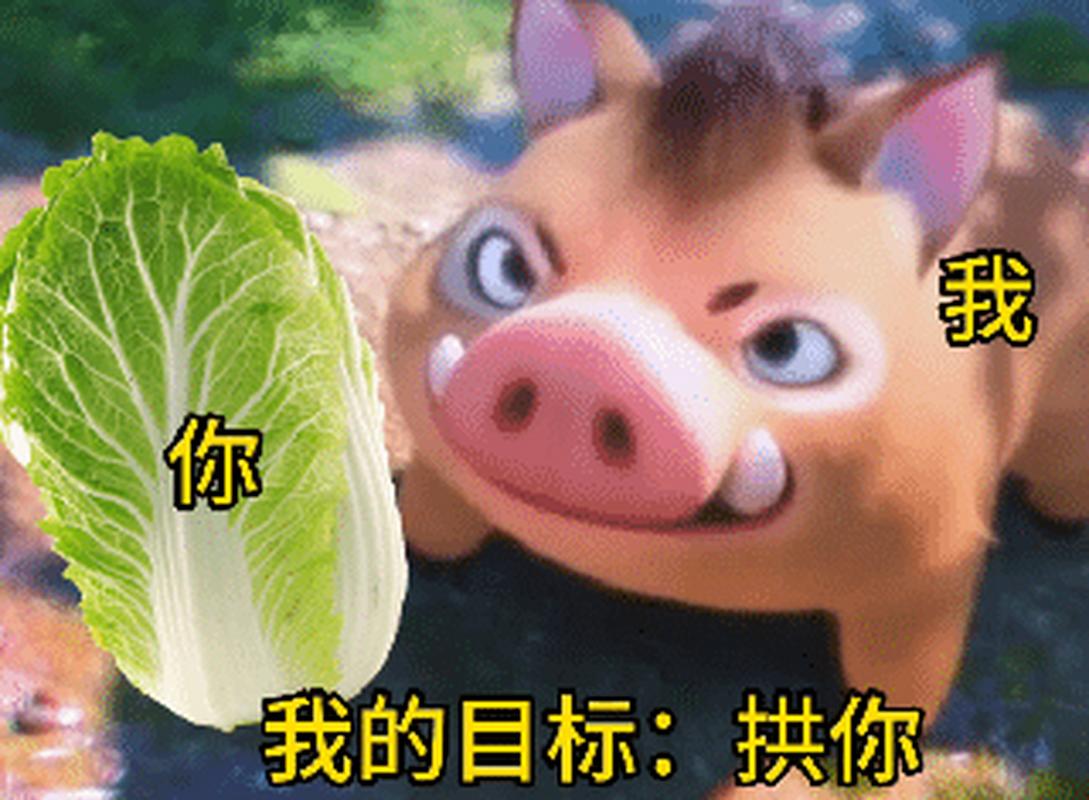 我 你 我的目标： 拱你