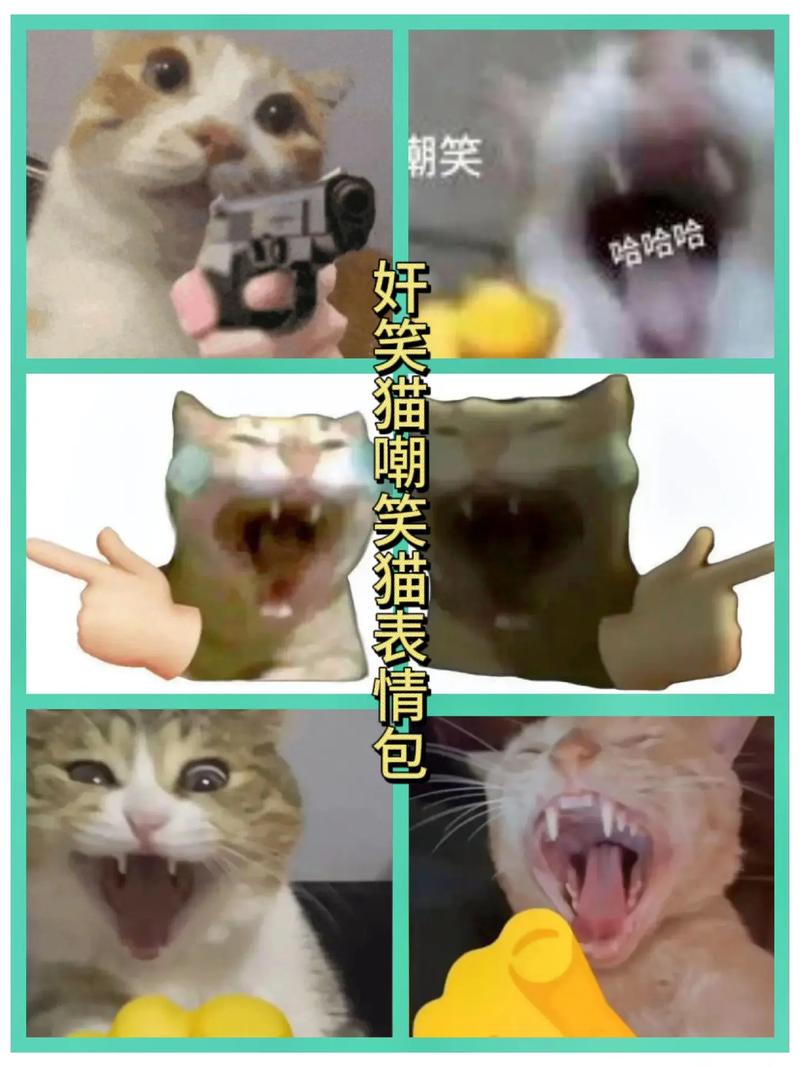 朝笑 哈々々 好笑猫嘲笑猫表情包
