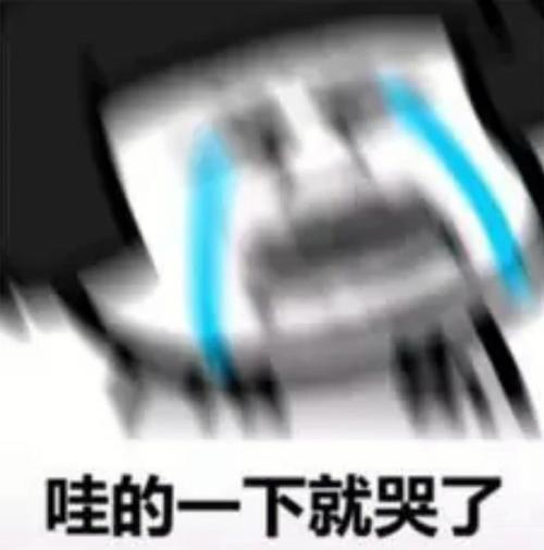 哇的一下就哭了