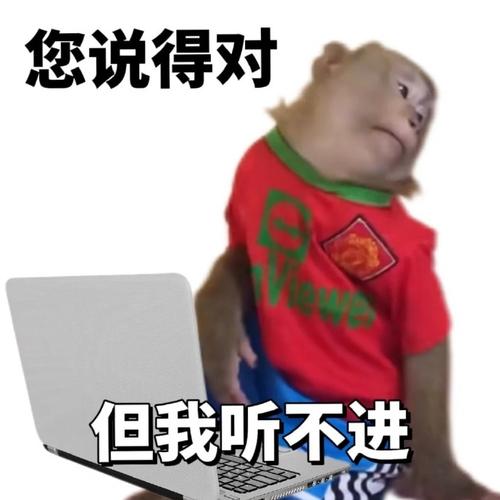 您说得对 但我听不进