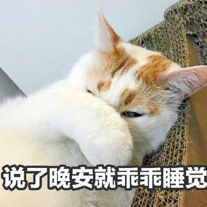 说了晚安就乖乖睡觉