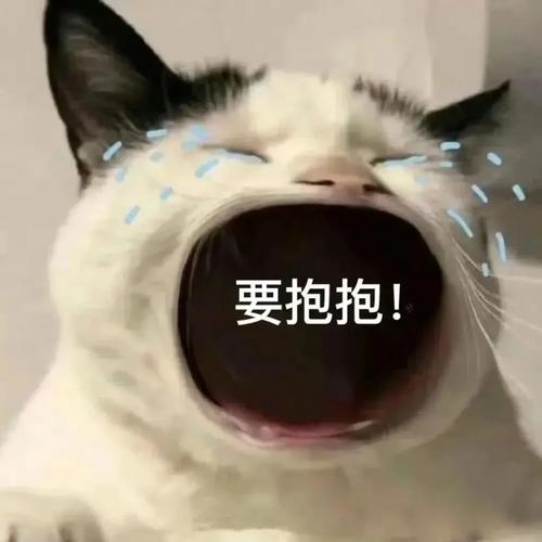 要抱抱！