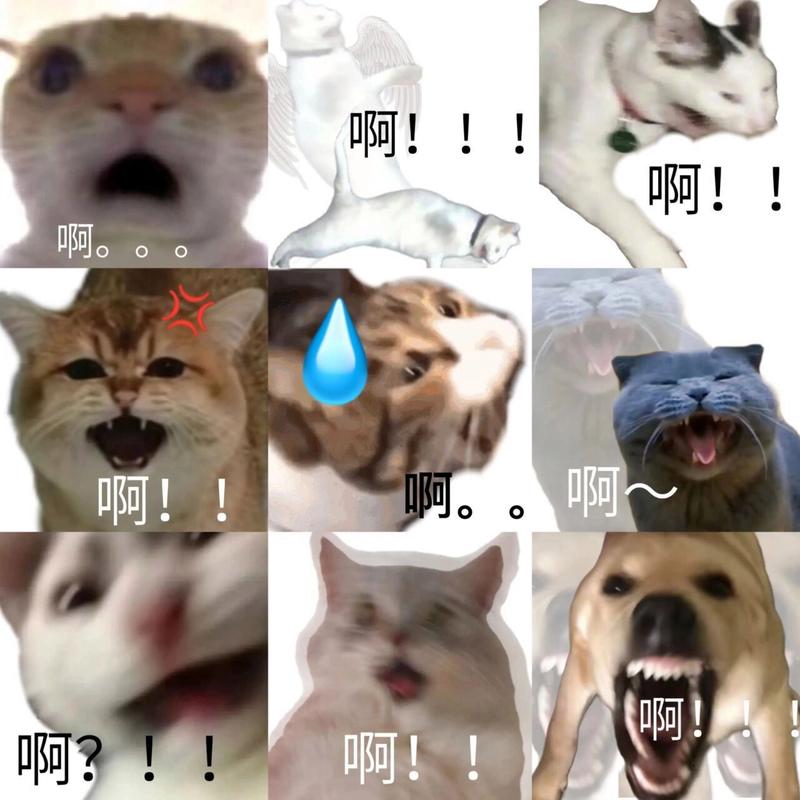 啊！ 啊 啊 啊 啊 啊 啊 啊 啊 啊 啊 啃