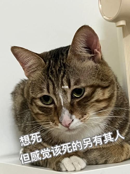 想死 但感觉该死的另有其人