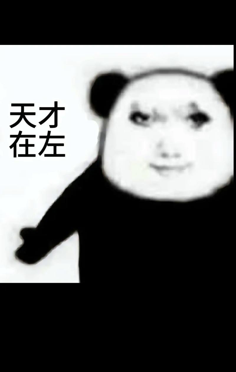天才 在左