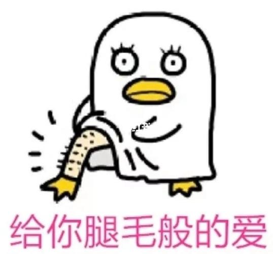给你腿毛般的爱