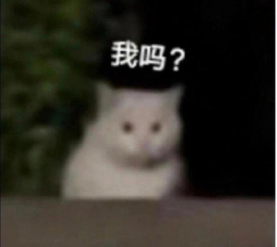 我吗？