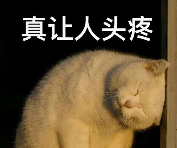 真让人头疼