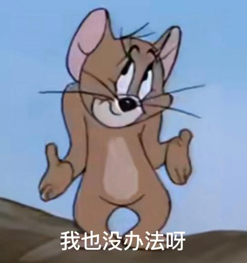我也没办法呀