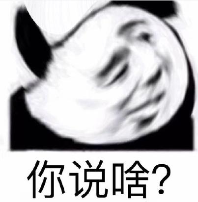 你说啥？