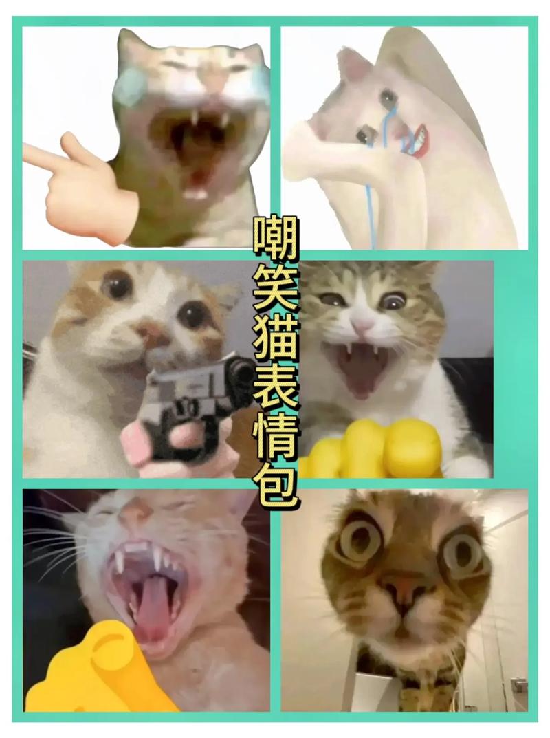 嘲笑猫表情包