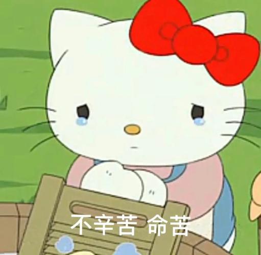 不辛苦命苦