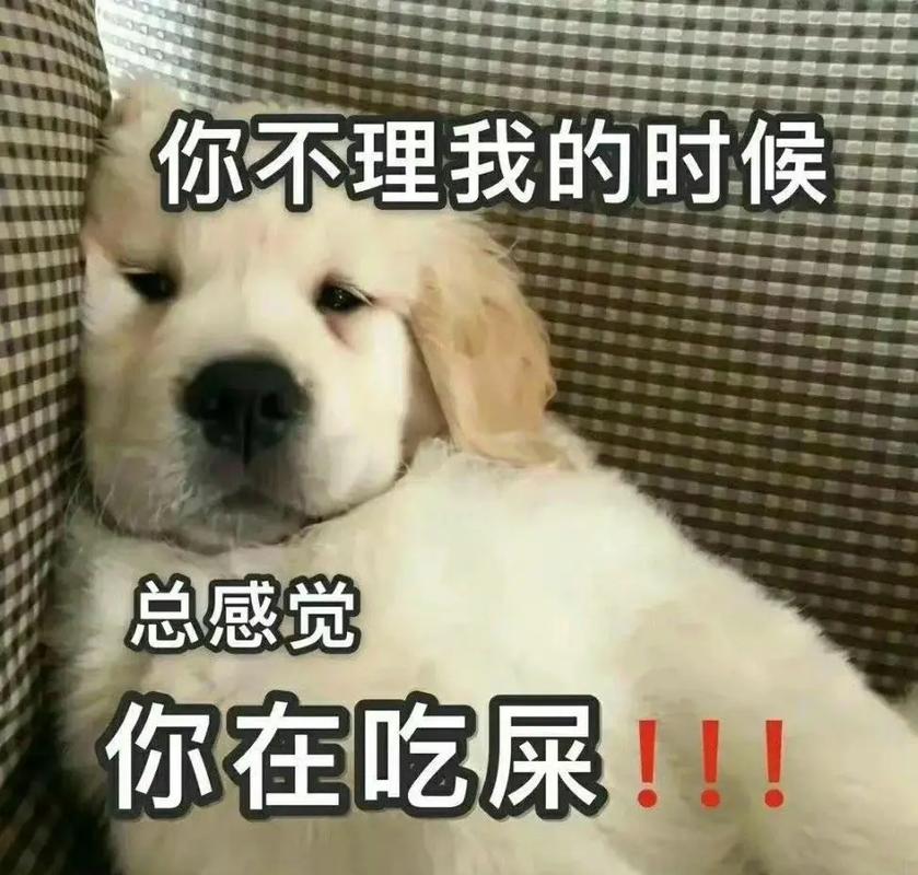 你不理我的时候 总感觉 你在吃屎