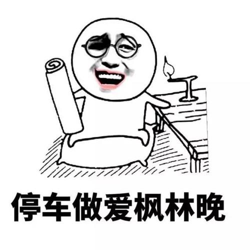 停车做爱枫林晚