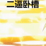 二逼卧槽