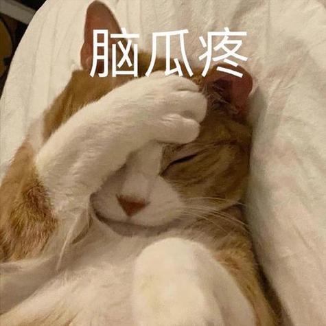 脑瓜疼