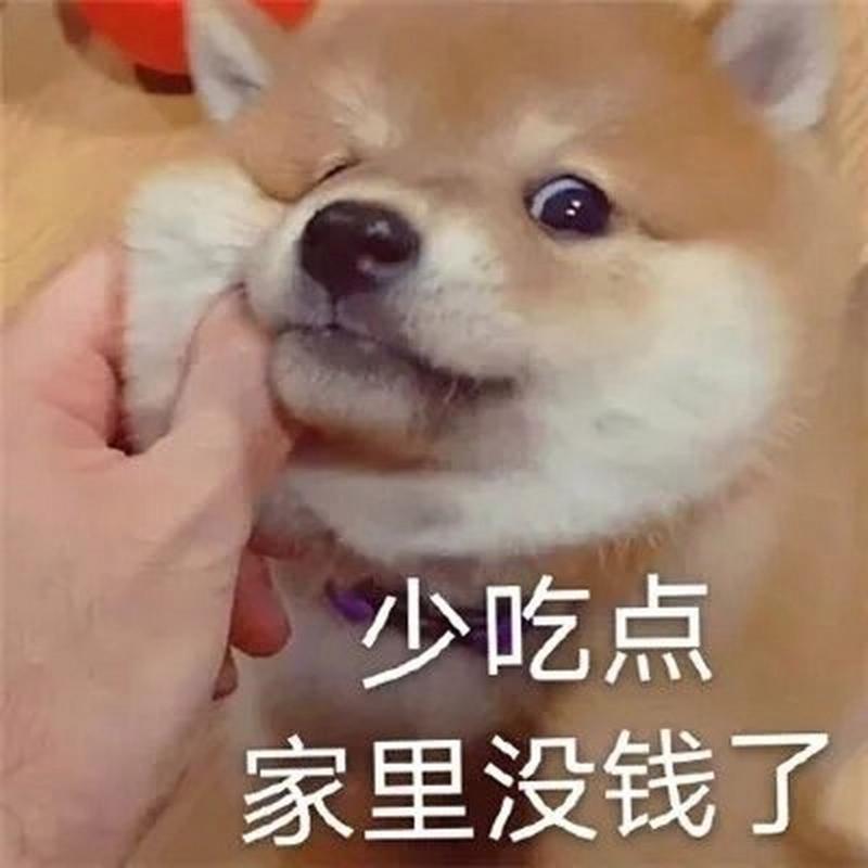 少吃点 家里没钱了