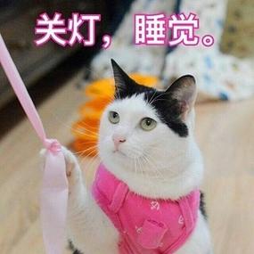 关灯，睡觉。