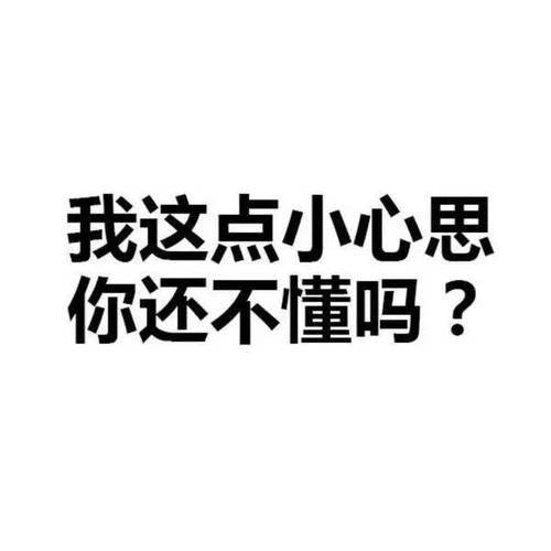 我这点小心思 你还不懂吗？
