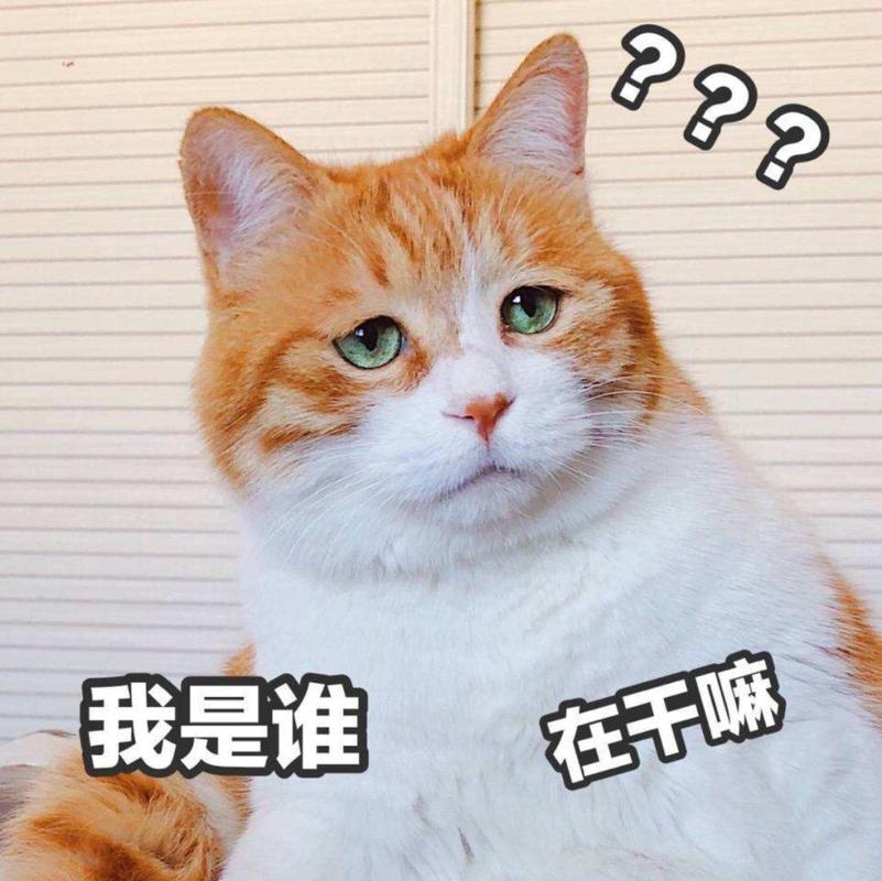我是谁 在干嘛