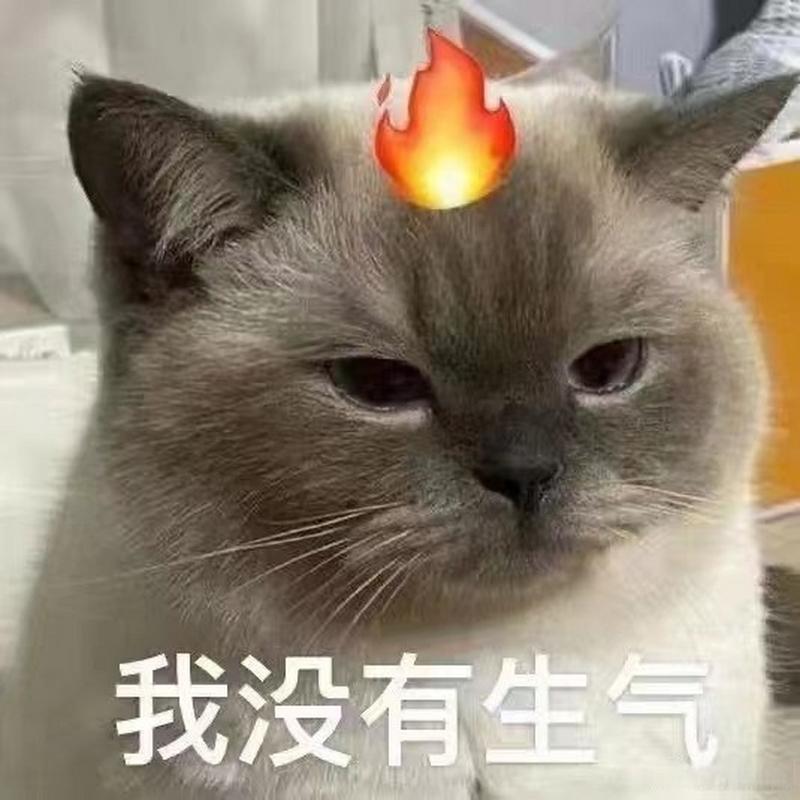 我没有生气