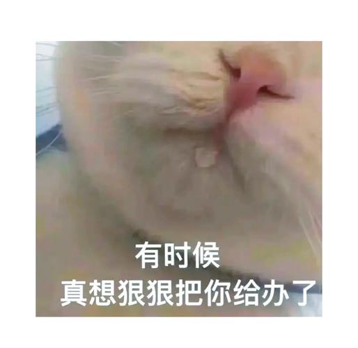 有时候 真想狠狠把你给办了