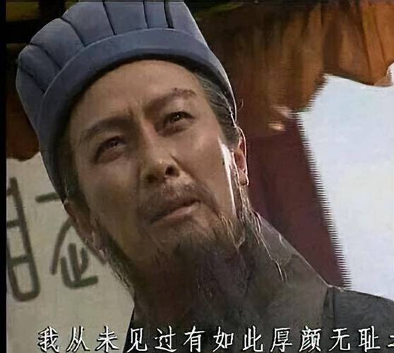 我从未见过有如此厚颜无耻