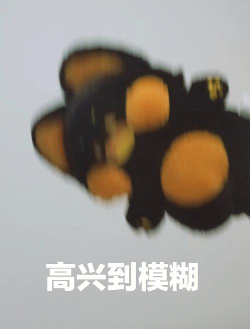 高兴到模糊