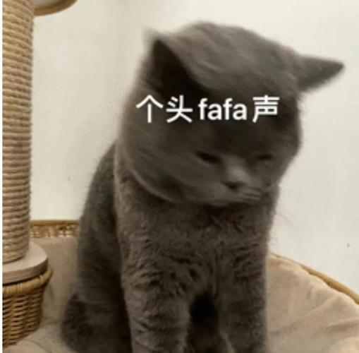 个头fafa声