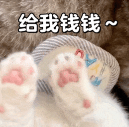 给我钱钱~