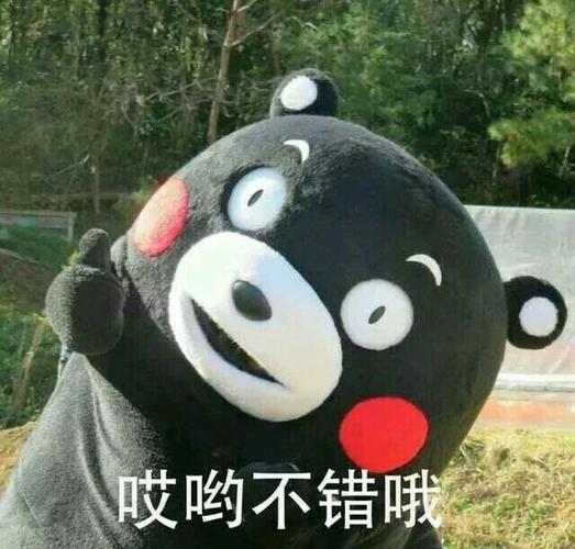哎哟不错哦