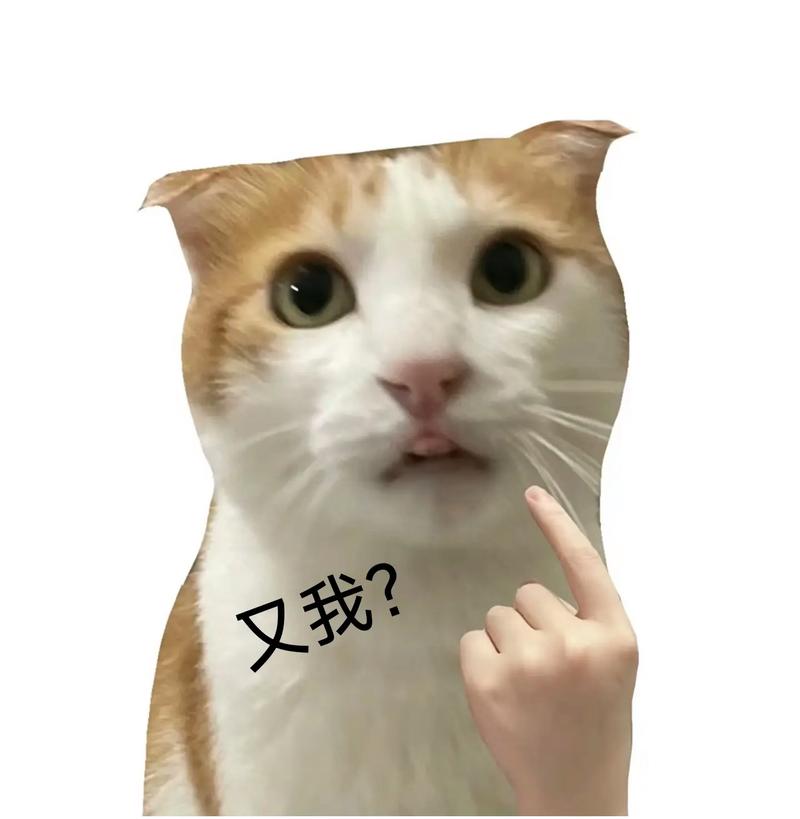又我？