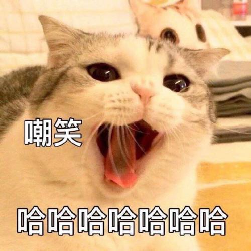 嘲笑 哈哈哈哈哈