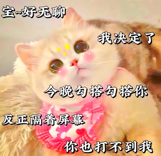 宝~好无聊 我决定了 今晚勾搭勾搭你 反正偶着屏幕 你也打不到我