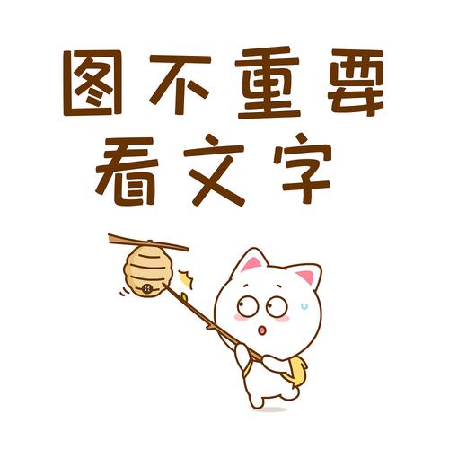 图不重 要 看文字